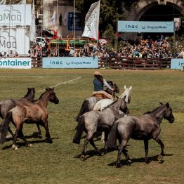 Expo Rural Prado 2024 (65)