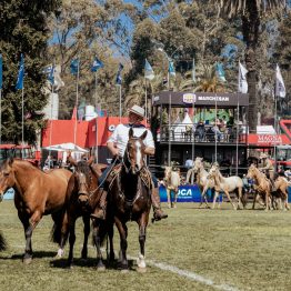 Expo Rural Prado 2024 (67)