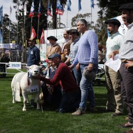 Expo Rural Prado 2024 (92)