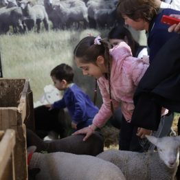 Expo Rural Prado 2024 (94)