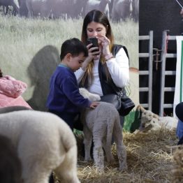 Expo Rural Prado 2024 (95)