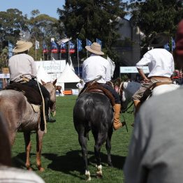 Expo Rural Prado 2024 (98)